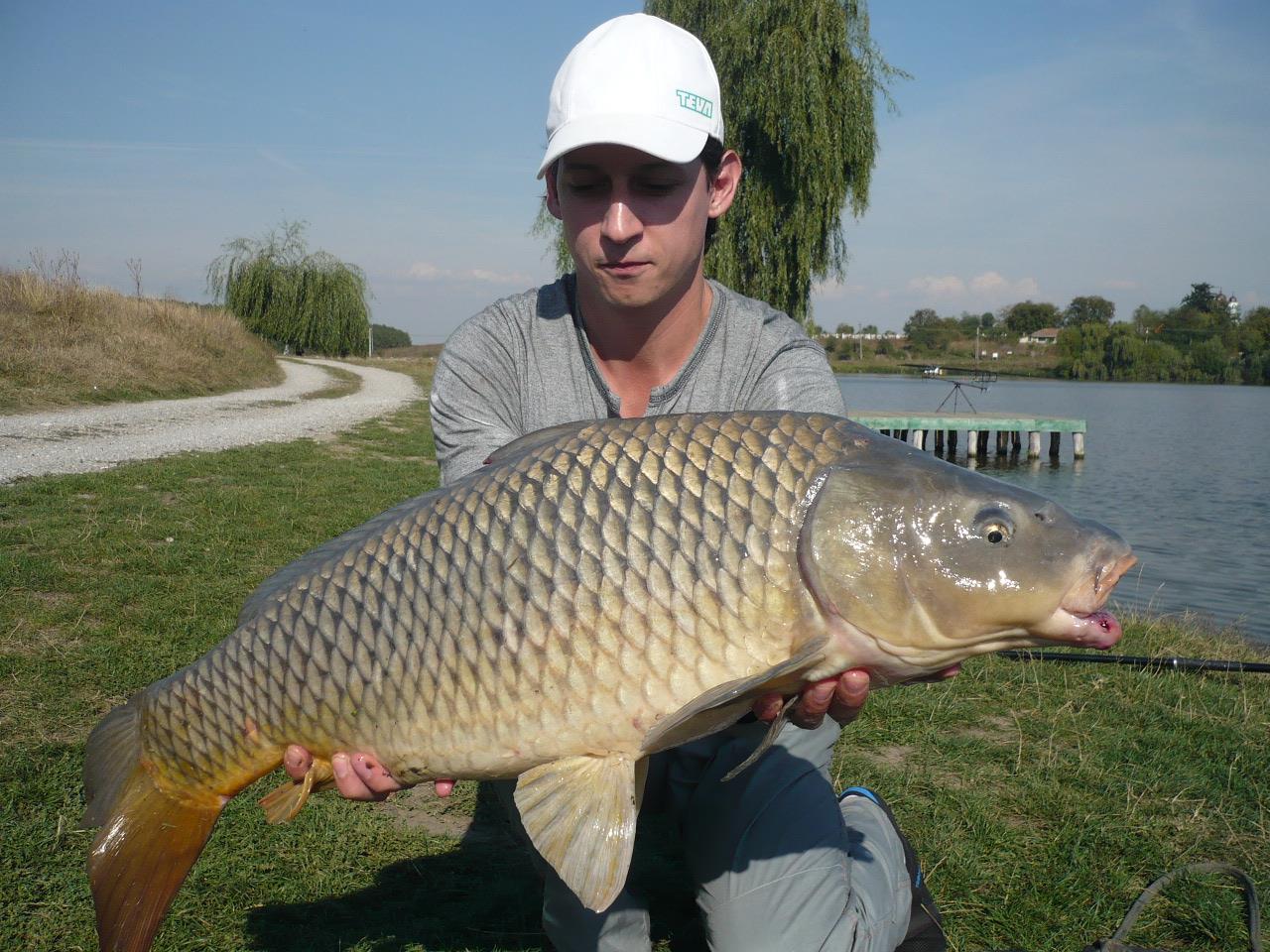 MV 2 - 1.OCT.2014 - p1020872.JPG